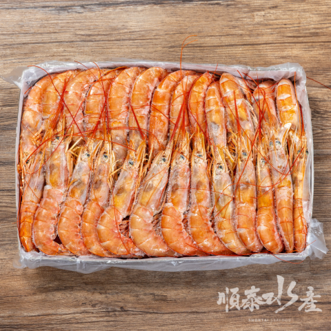 阿根廷天使紅蝦