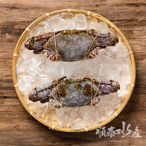 斯里蘭卡花蟹