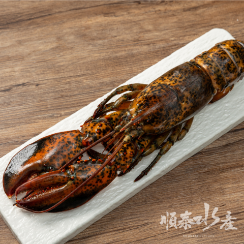 生凍波士頓龍蝦