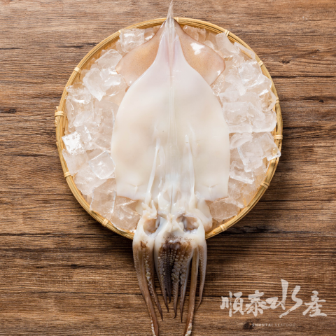日式薄鹽魷魚一夜干