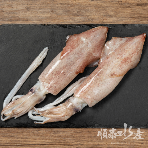 船凍小卷16/20