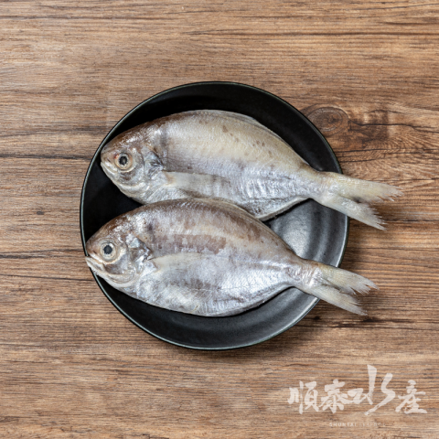 特大肉鯽魚