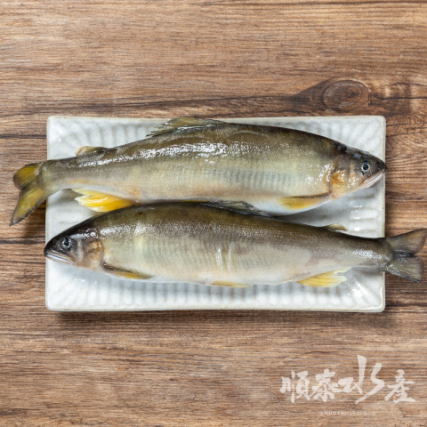 爆蛋母香魚