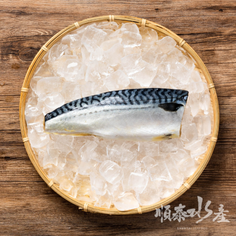 挪威鯖魚片