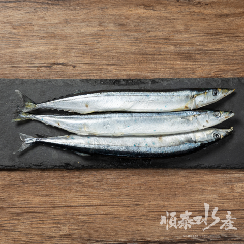 秋刀魚
